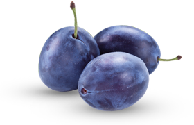 plum right